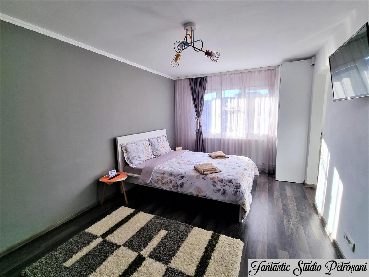 ~Fantastic Studio Petrosani~ Apartment Luaran gambar