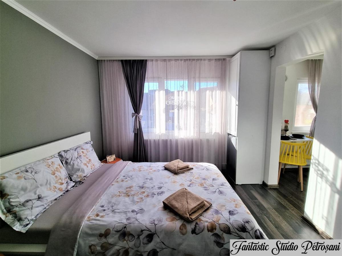 ~Fantastic Studio Petrosani~ Apartment Luaran gambar