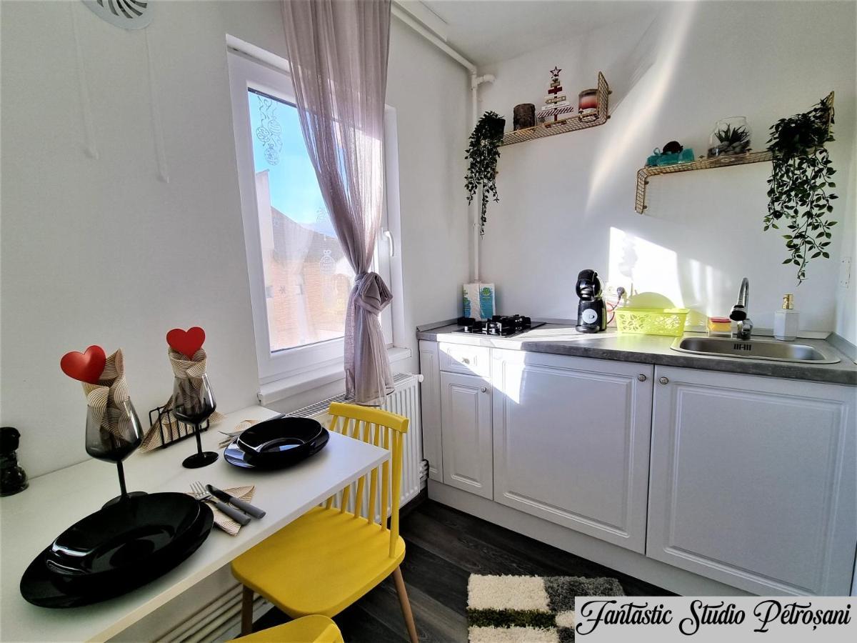 ~Fantastic Studio Petrosani~ Apartment Luaran gambar