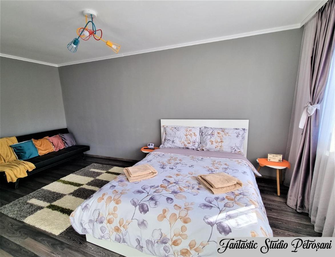 ~Fantastic Studio Petrosani~ Apartment Luaran gambar