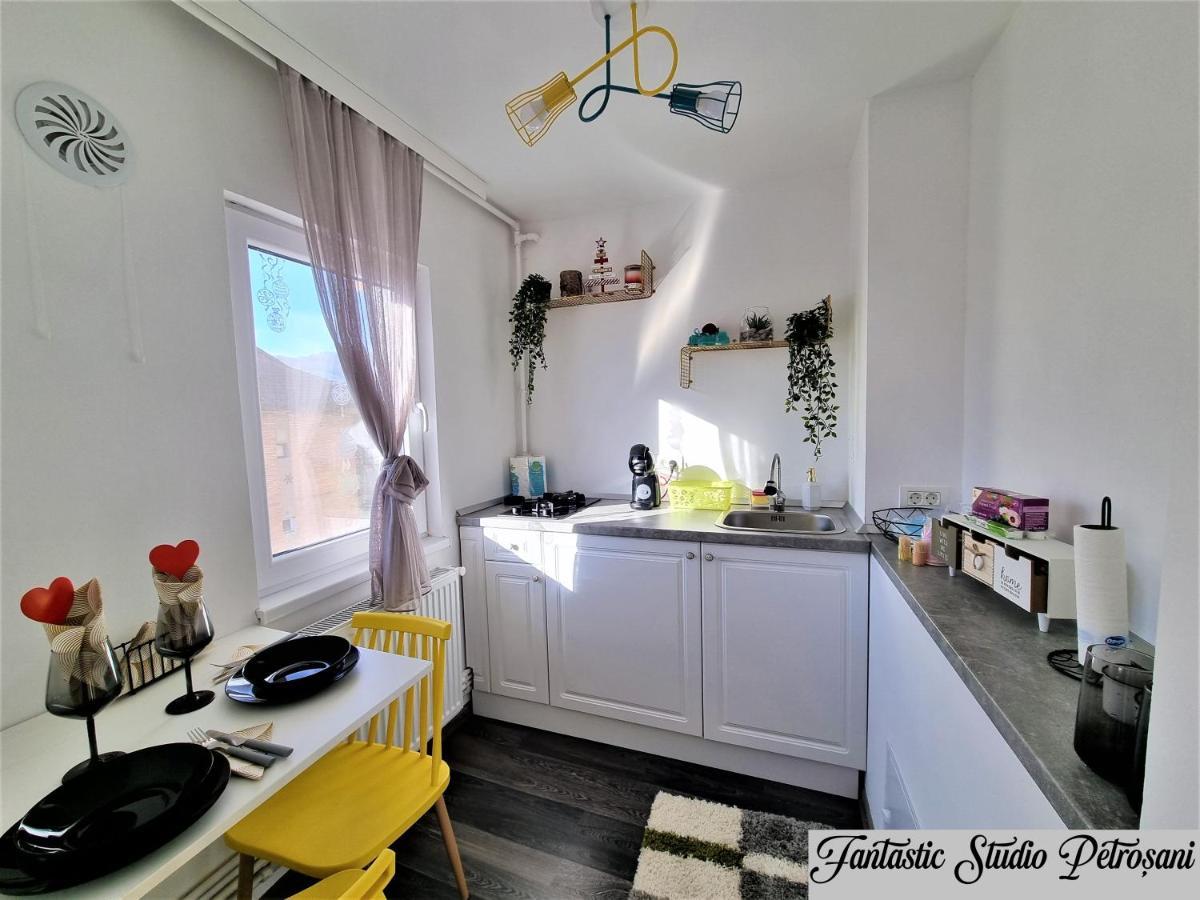 ~Fantastic Studio Petrosani~ Apartment Luaran gambar